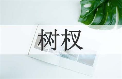 树杈|树杈的意思